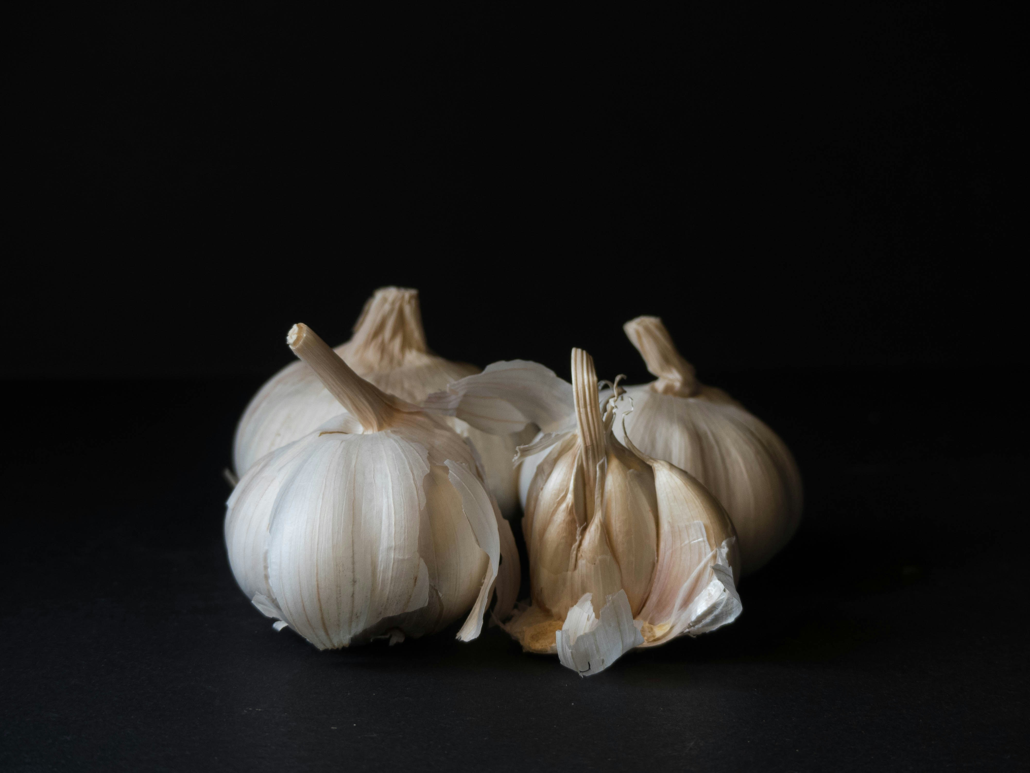 Garlic